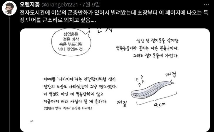 갈로아 작가 저격한 사람은 한두개 지적하는게 아님_12.jpg