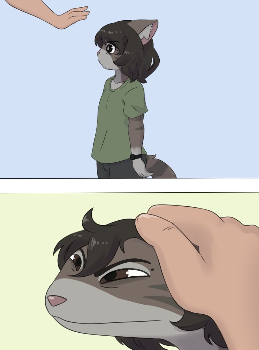 퍼리_10.jpg
