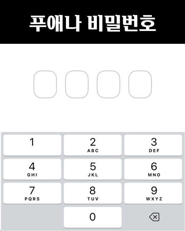 푸애나 인스타그램_2.jpg