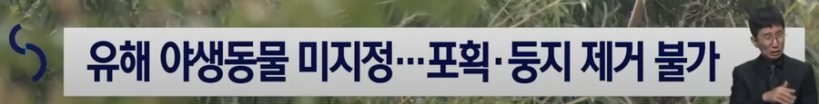 굴러온돌이 박힌 돌을 빼려는 상황_5.png