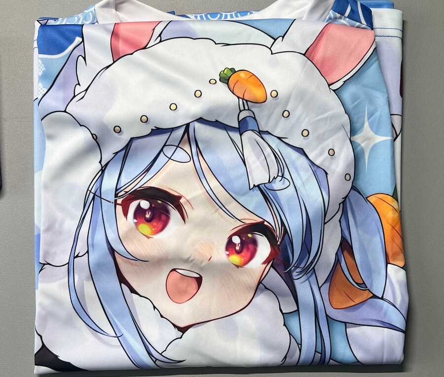 버튜버) 페코티 나눔받은거 왔다 !_1.png