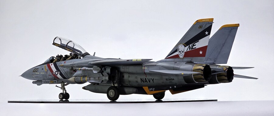 F-14D 톰캣_52.png