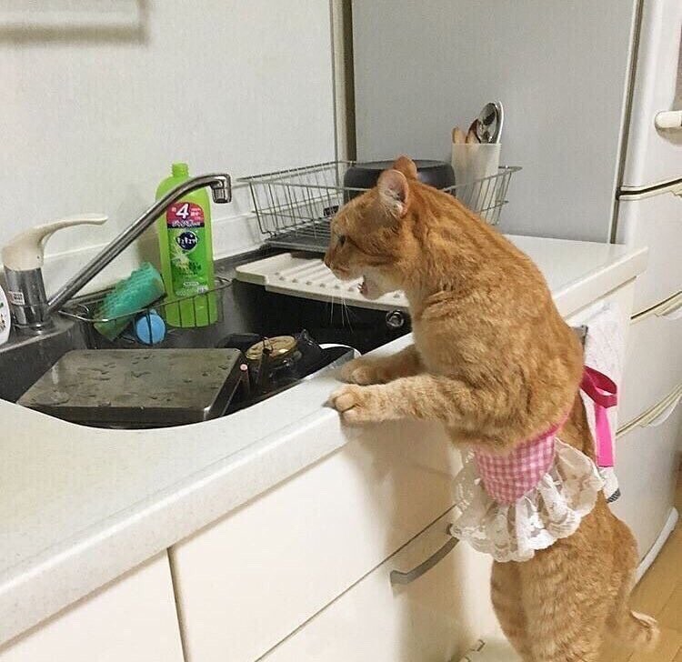 "원숭이 아저씨, 집에오면 얘기좀 해"_1.jpg