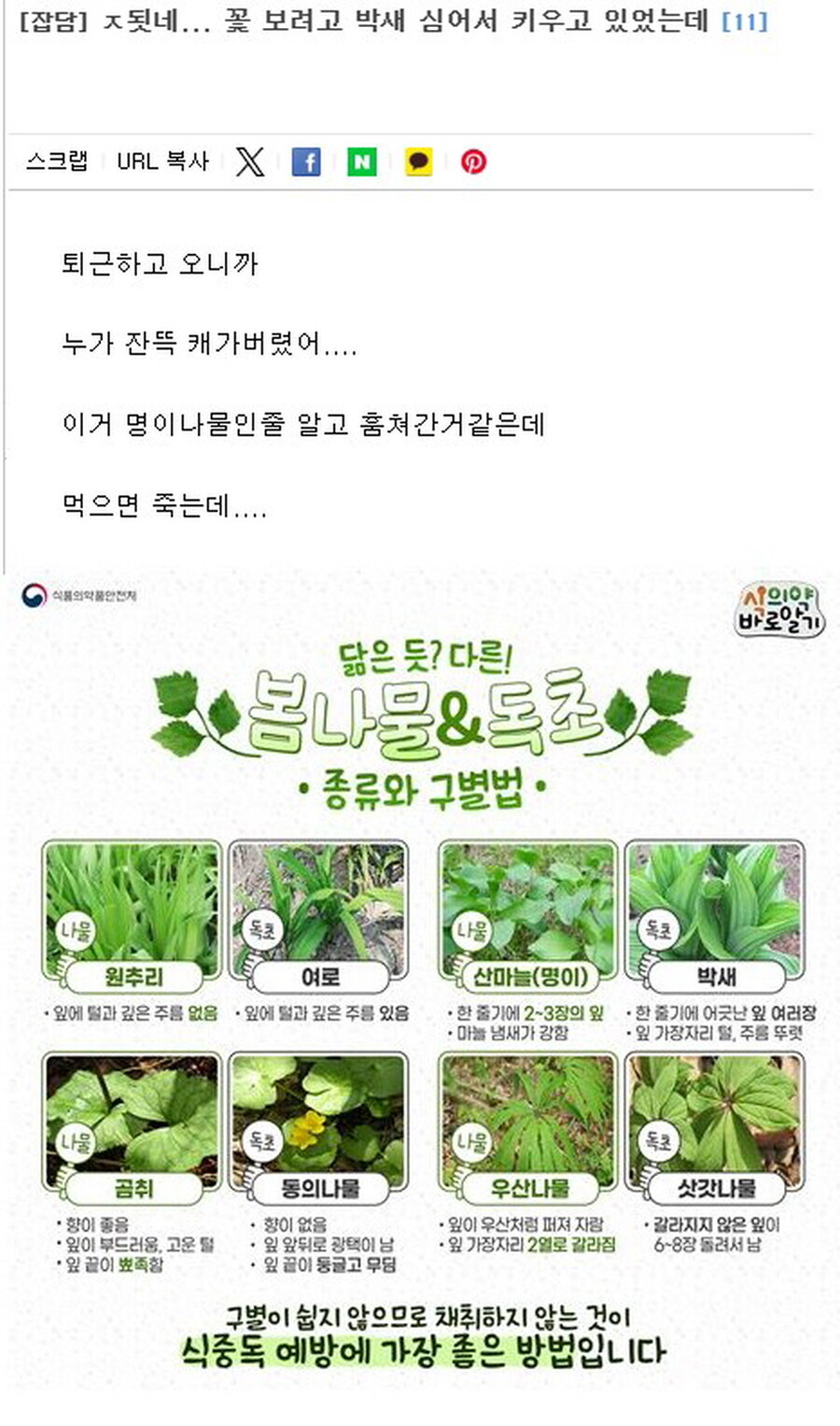 ㅈ댓네 꽃 보려고 키우던거였는데..._1.jpg