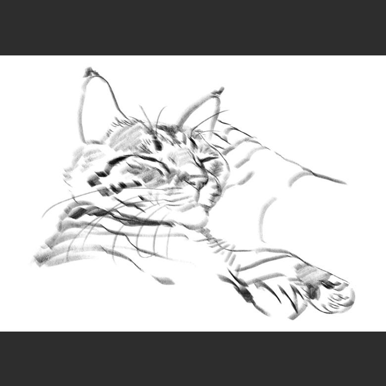 고양이) 우리집 고양이그림 보고가셈_2.png