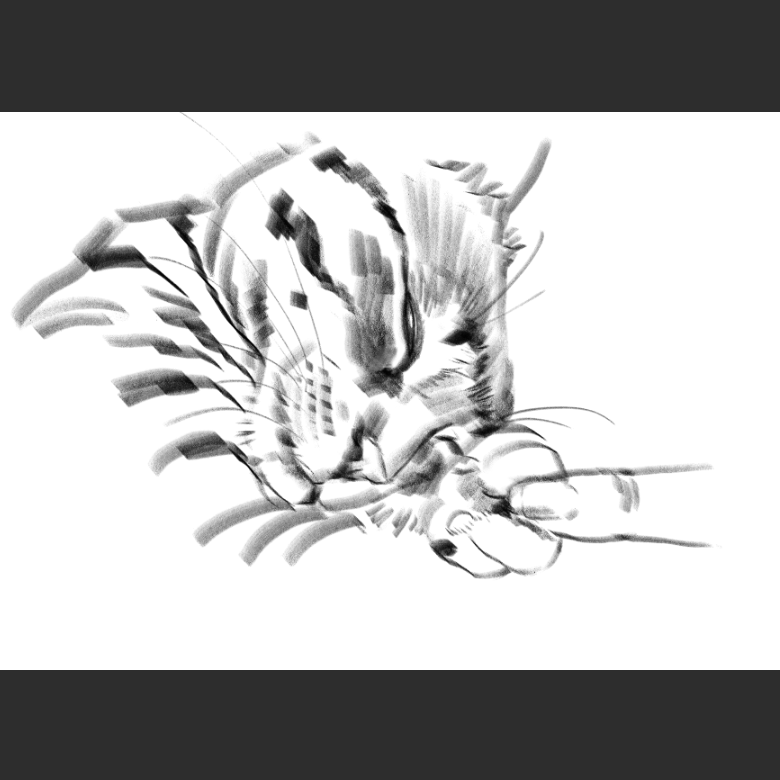 고양이) 우리집 고양이그림 보고가셈_4.png