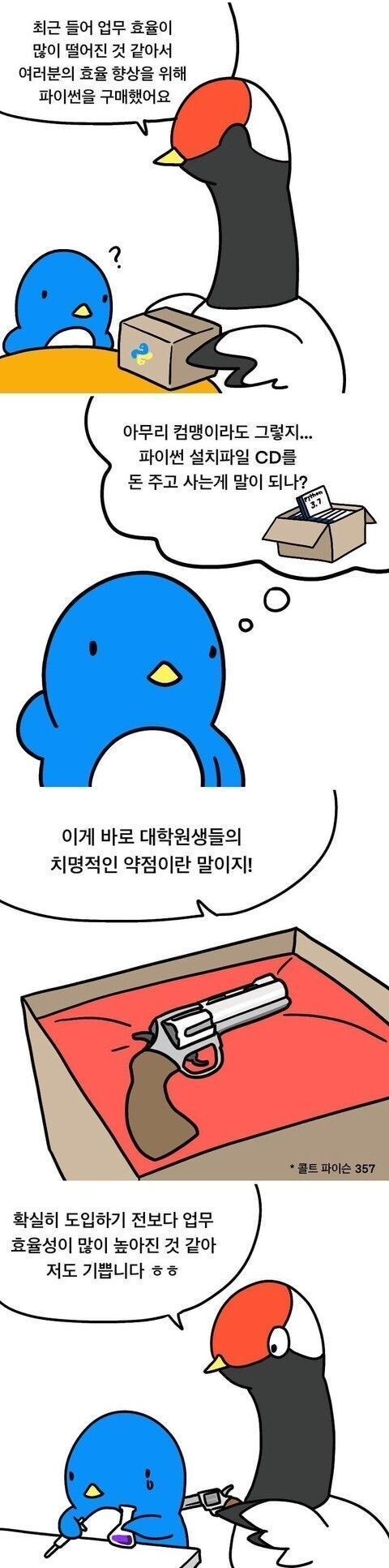 원생들을 위해 파이썬을 구매한 교수님.manhwa_1.jpg