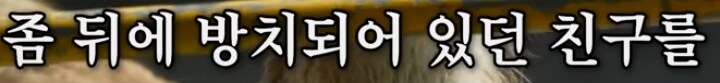 버려진 동물 구조해서 연 동물원의 수입_16.png