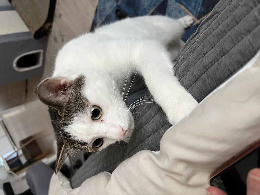아오 자기전에 에어컨 끈건 좋은선택이 아니었어_2.jpg