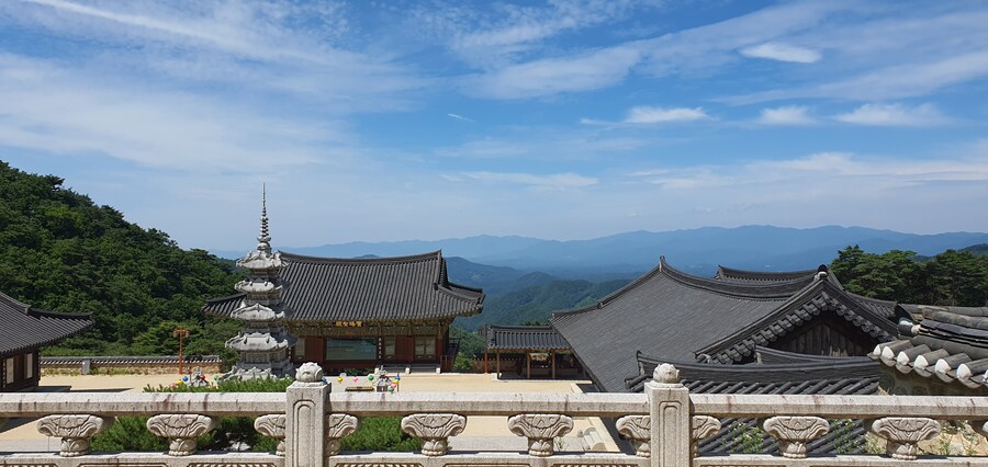 아버지산소겸 절에 왔습니다_2.jpg