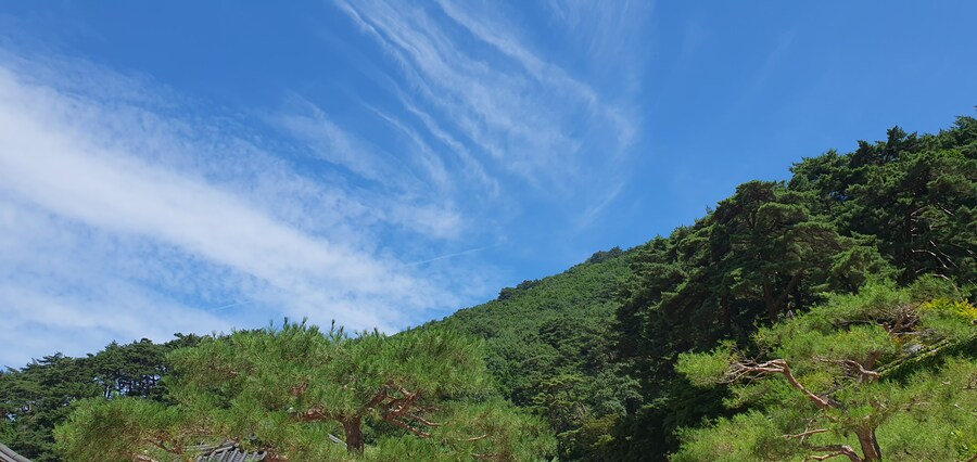 아버지산소겸 절에 왔습니다_4.jpg