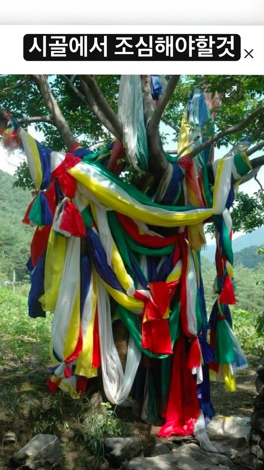 서울 경기도에도 이런거 예전엔 많았을테지만_1.jpg