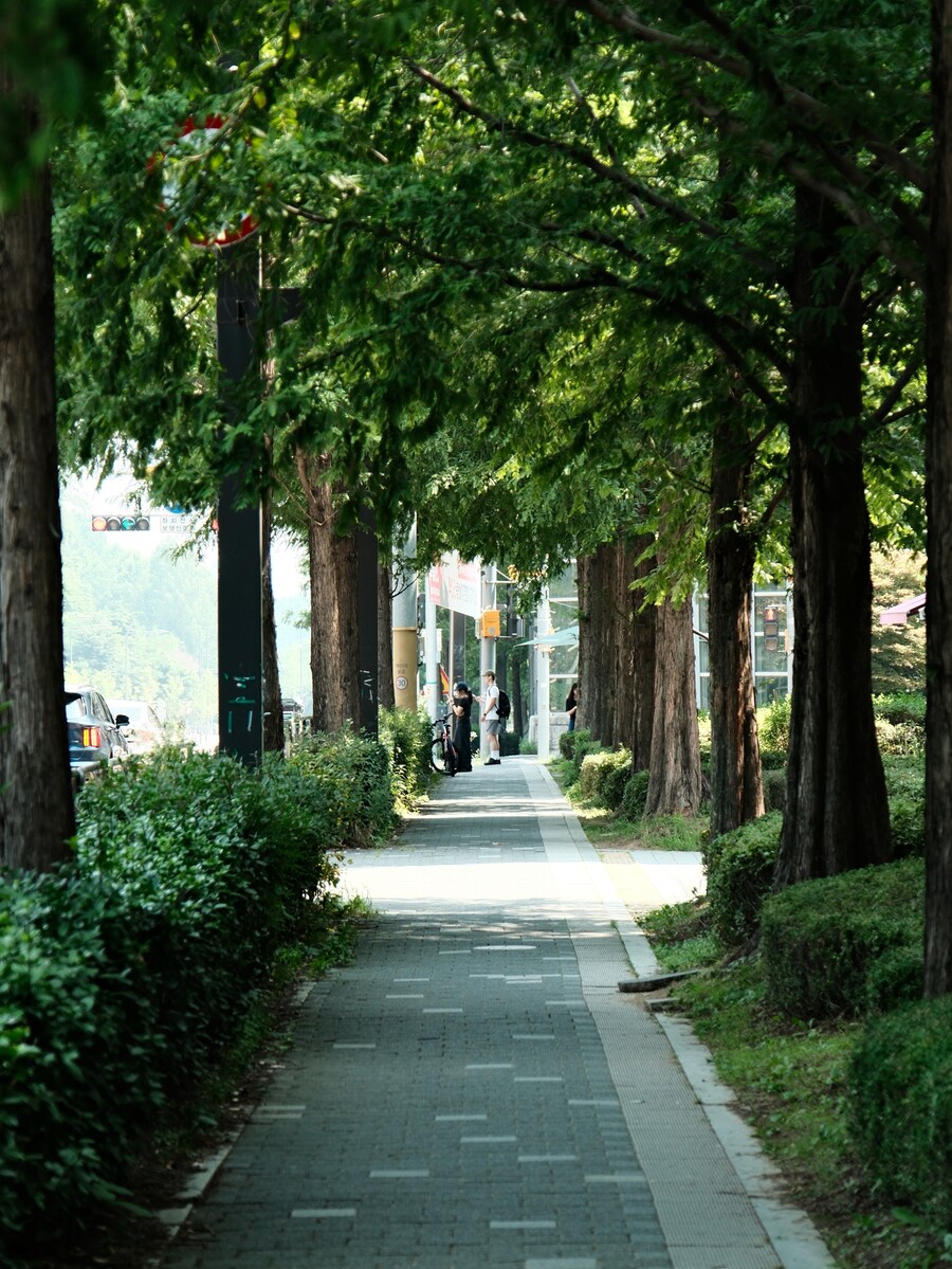 가라아게 & 나폴리탄_3.jpg