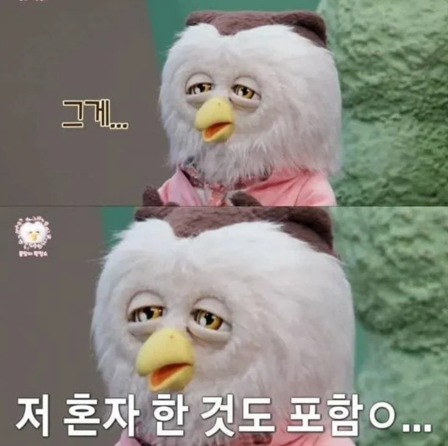 앵무새 자1위_1.png