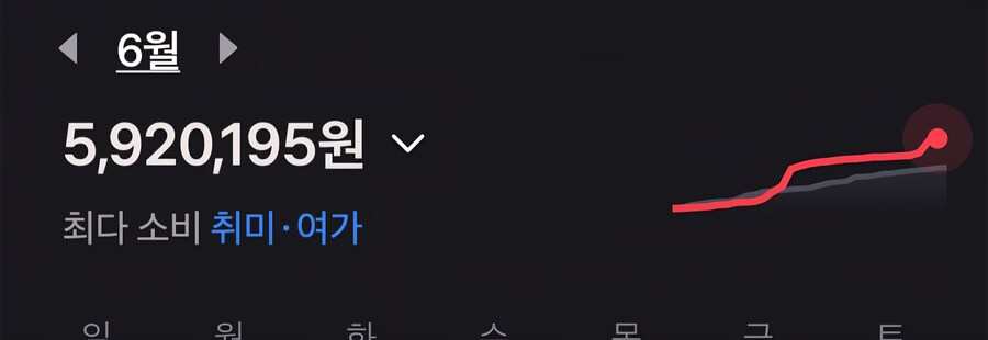 대체 왜 통장이 마이너스가 안되는거지_2.jpg