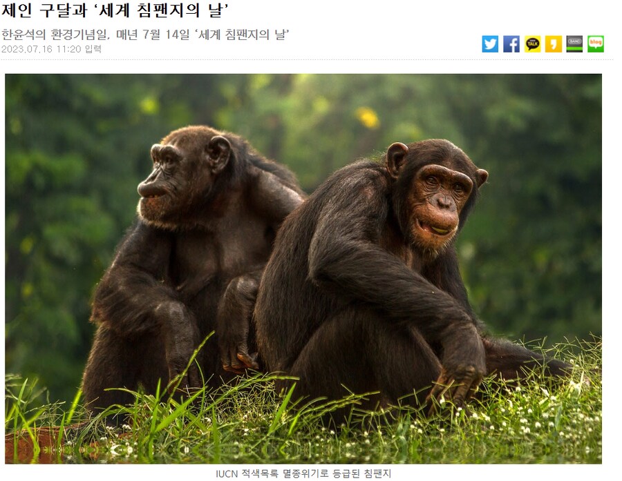 오늘이 무슨 날이게~_1.png