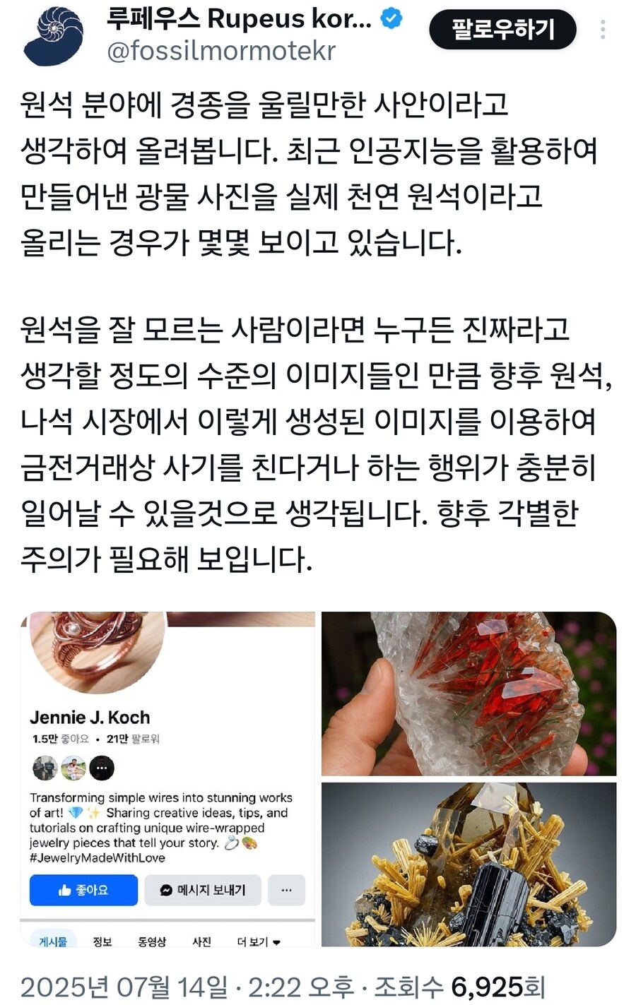 AI)사기꾼이 타격 입히기 시작한 취미분야 : 원석_1.jpg