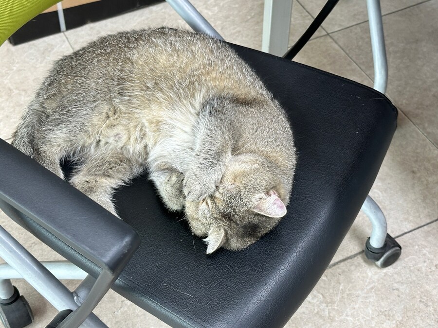오늘의 중지짤.jpg_1.jpg