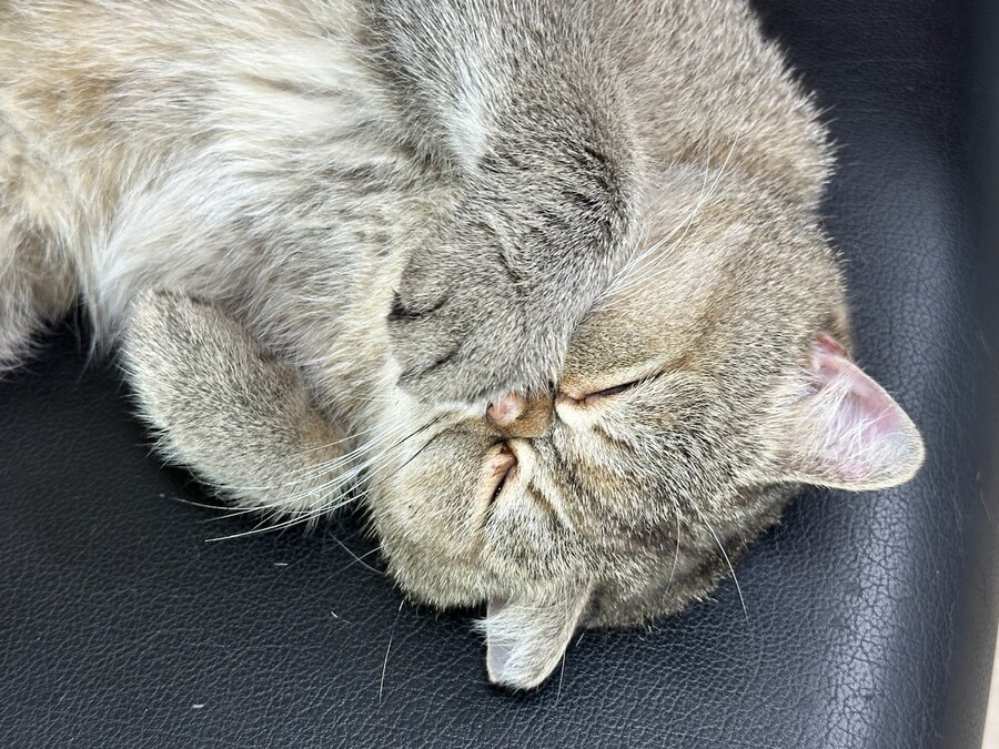 오늘의 중지짤.jpg_3.jpg