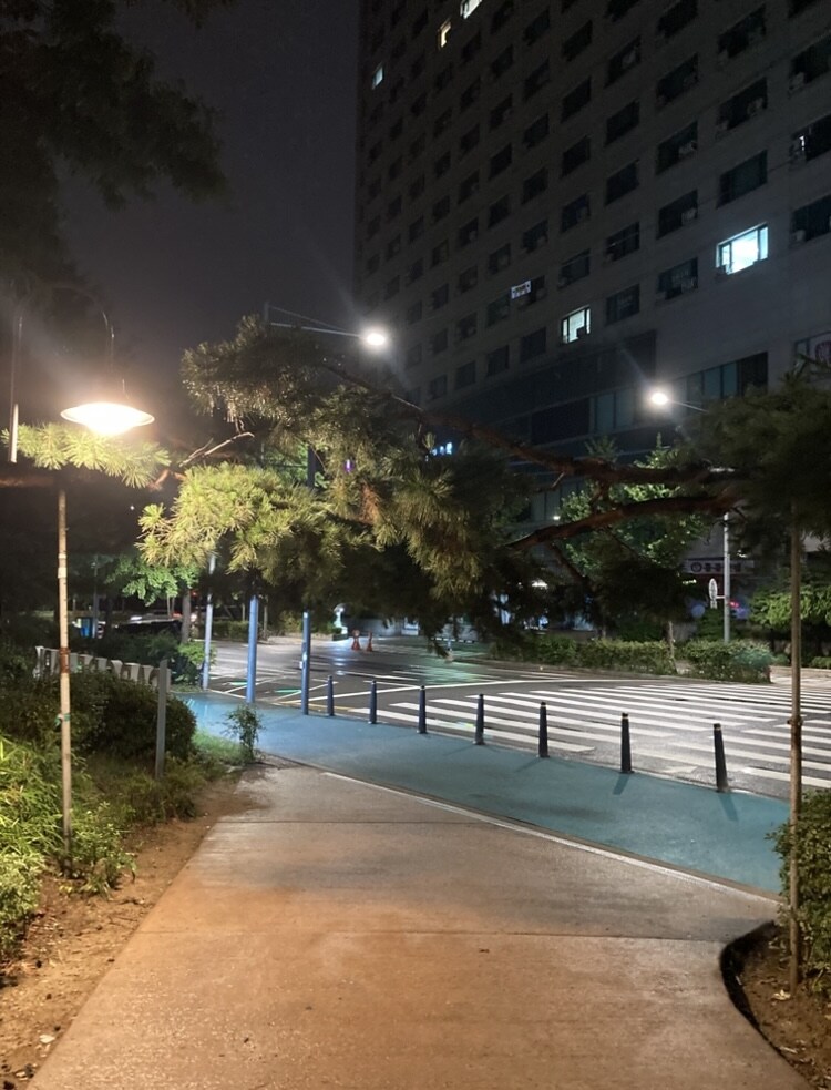 새벽 런닝완료 동네산보_2.jpg