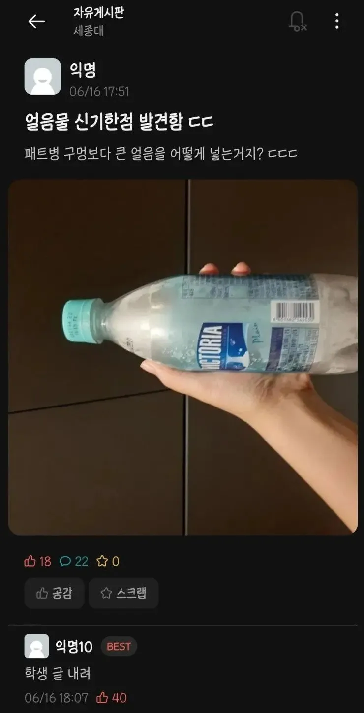 얼음물이 신기한 대학생.jpg_1.webp