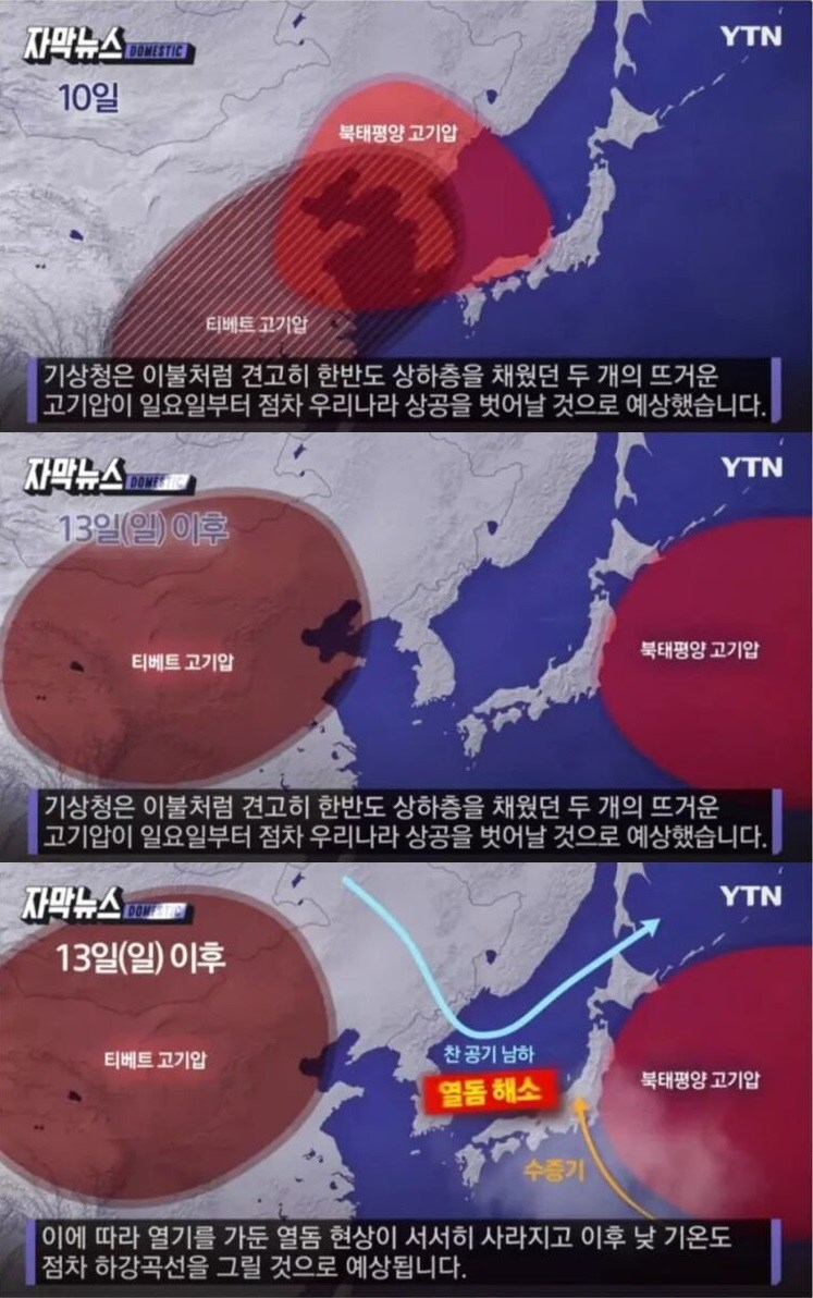 열돔 근황_1.jpg