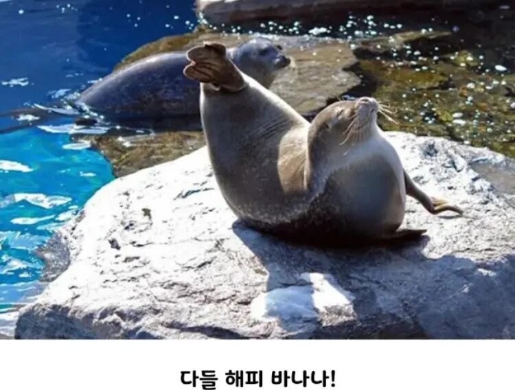 의외로 앉을수있는 동물.jpg_4.jpg