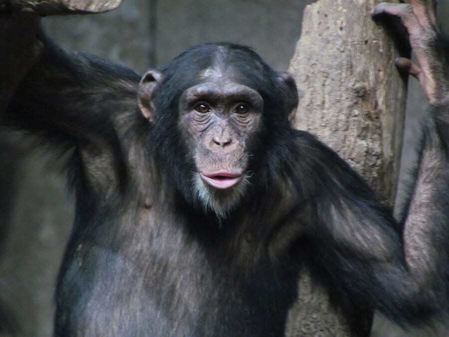 해리포터)??? : 헤르미온느 아닌거 같은데_3.jpg