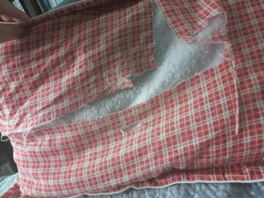 이 정도면 베개 커버 새로 사도 됨?_1.jpg