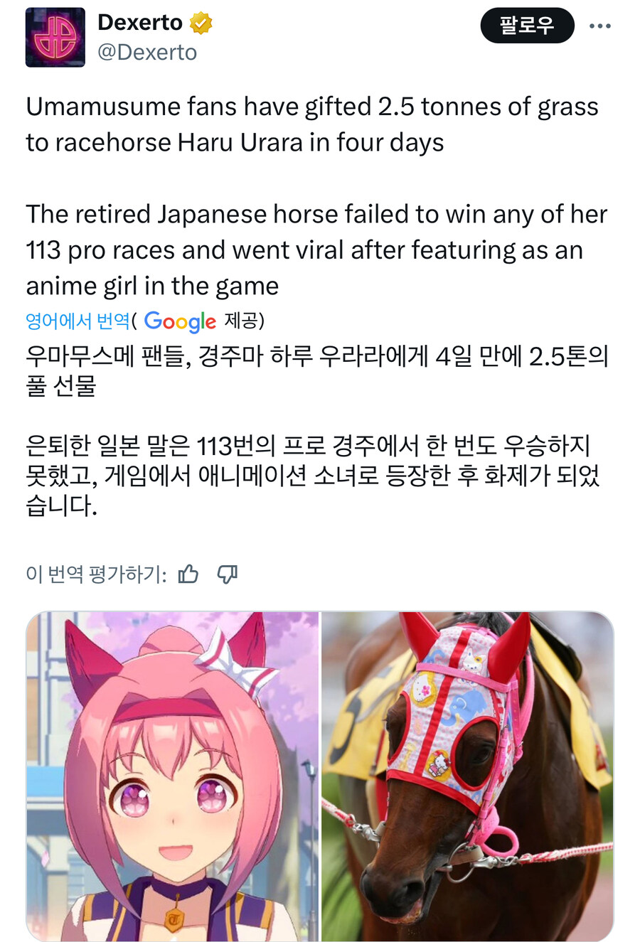 말딸) 양덕들 우라라 진짜 좋아하긴 하네_1.jpg