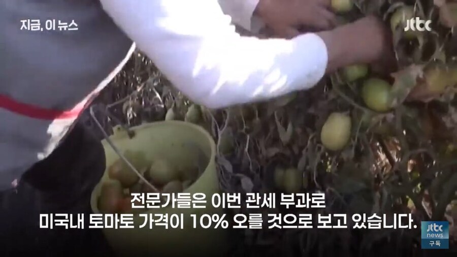 드디어 정상화된 피자를 먹을수 있게된 미국인들 근황_5.jpg