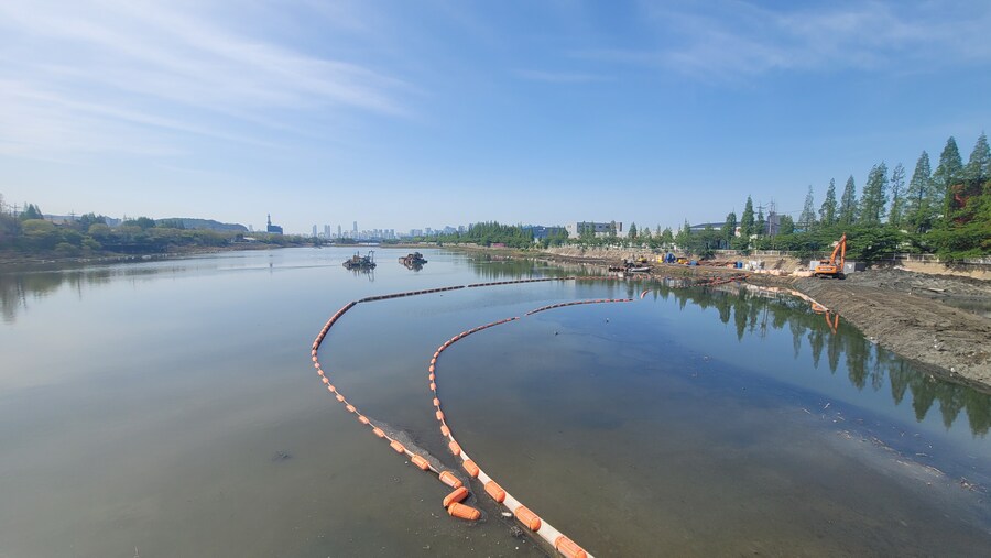 5월, 인천 해안 갯벌 탐조_1.jpg