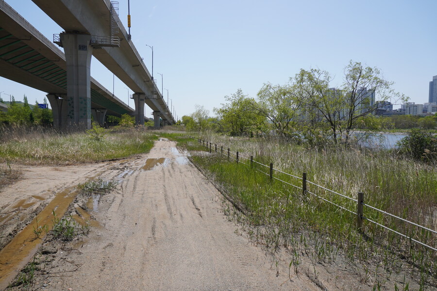 5월, 인천 해안 갯벌 탐조_34.jpg