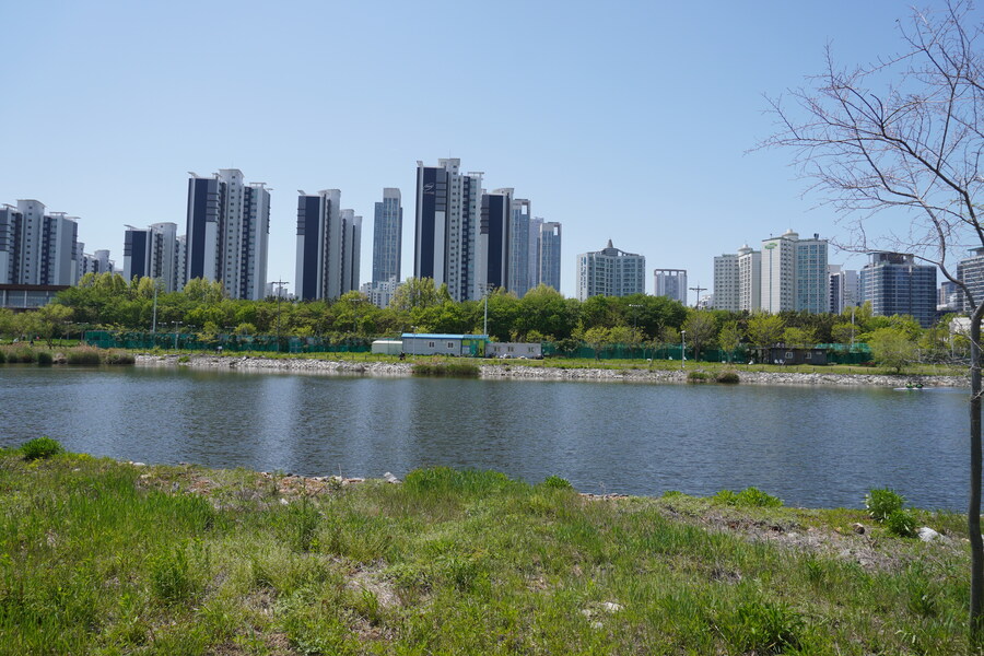 5월, 인천 해안 갯벌 탐조_55.jpg