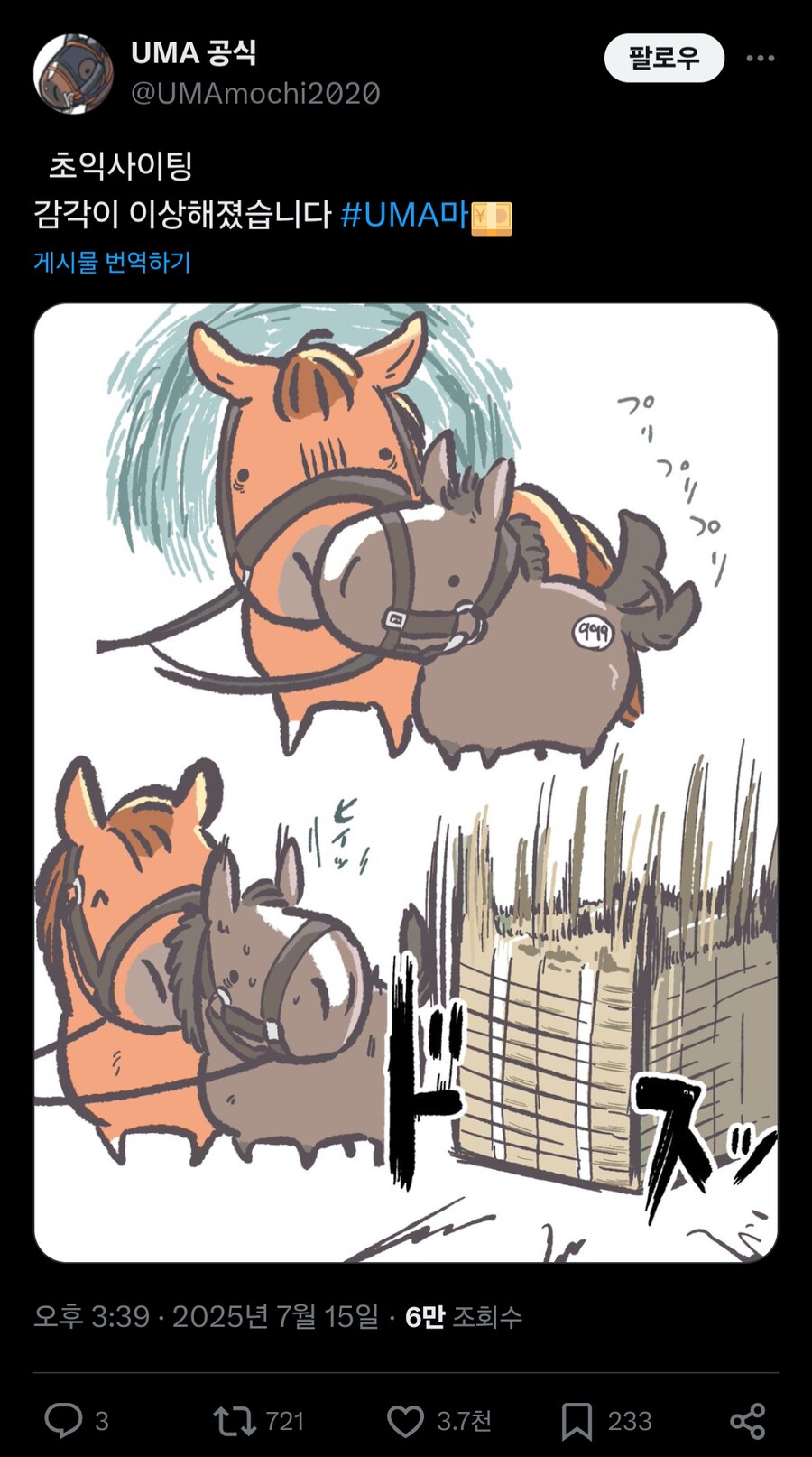 말딸, 경마)올해 노던팜 셀렉트 세일 보면서 느낀 점_1.png