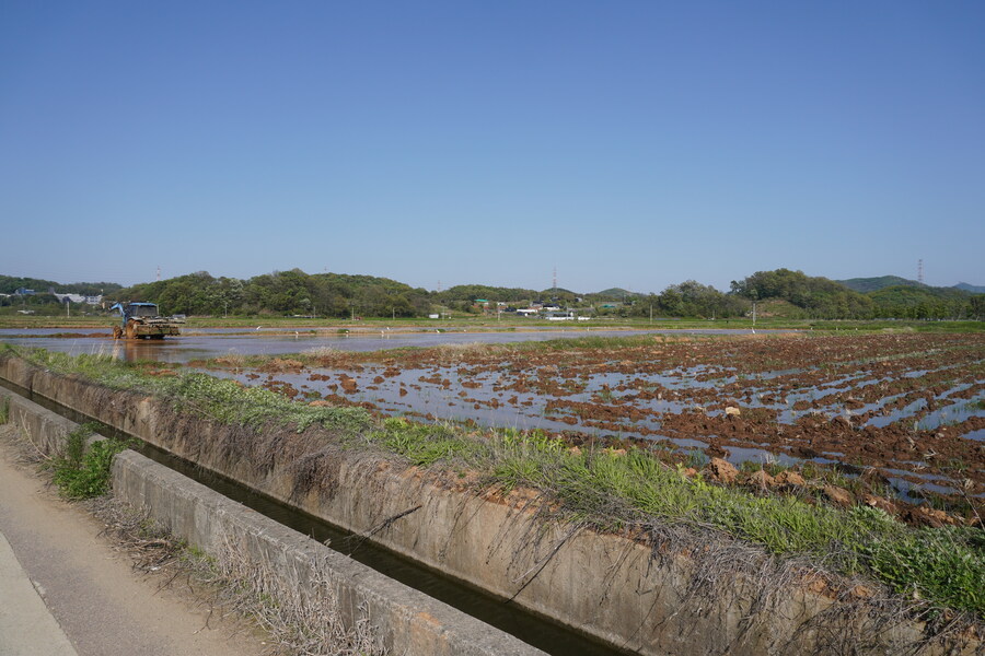 5월, 인천 해안 갯벌 탐조_124.jpg