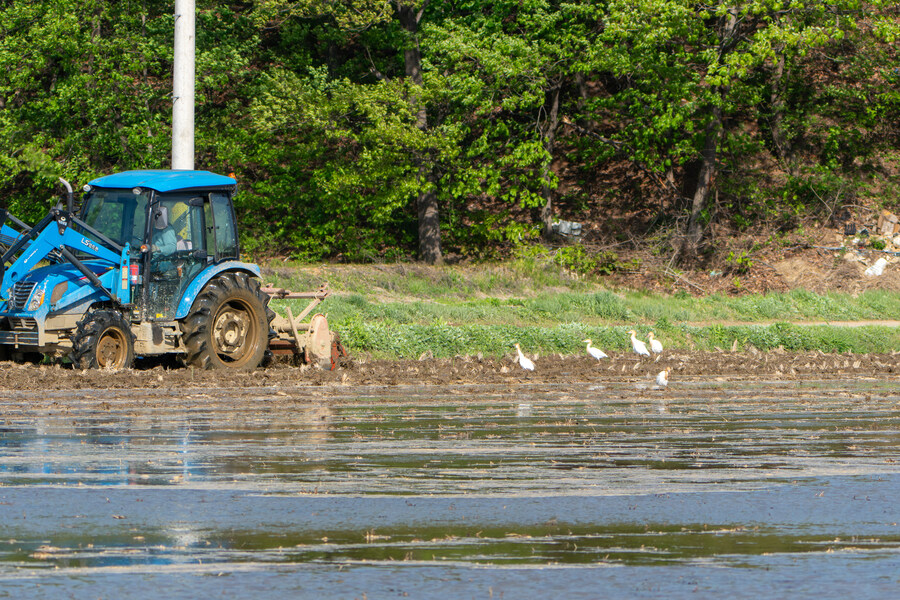 5월, 인천 해안 갯벌 탐조_129.jpg