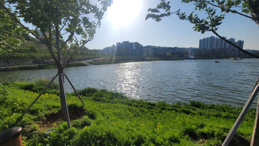 5월, 인천 해안 갯벌 탐조_133.jpg