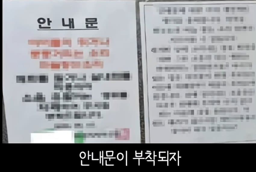 캣맘들이 사라진 이유_2.jpg