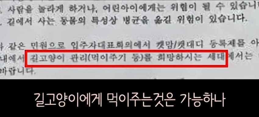 캣맘들이 사라진 이유_4.jpg