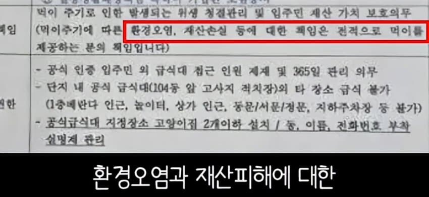 캣맘들이 사라진 이유_6.jpg