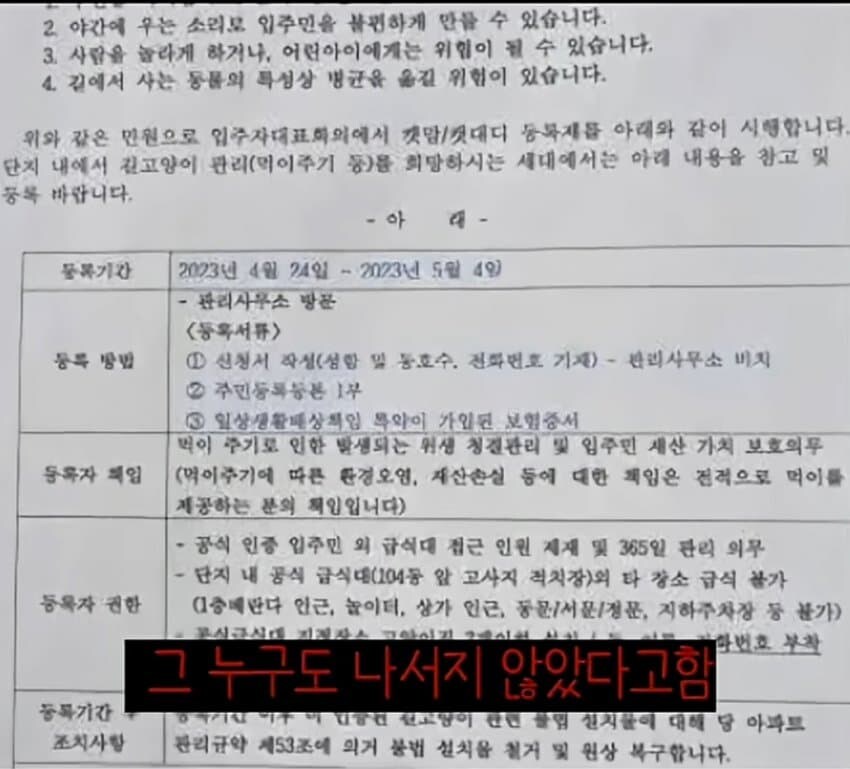 캣맘들이 사라진 이유_9.jpg