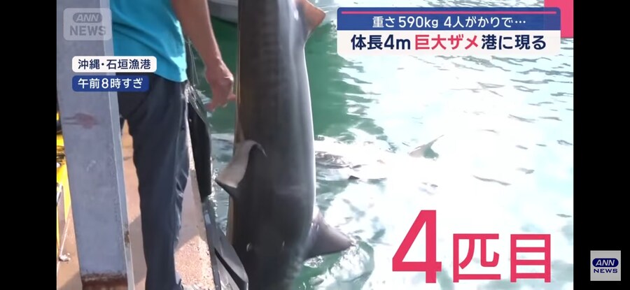 일본)"형이 왜 거기서 나와?"_3.jpg