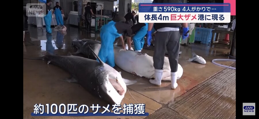 일본)"형이 왜 거기서 나와?"_6.jpg