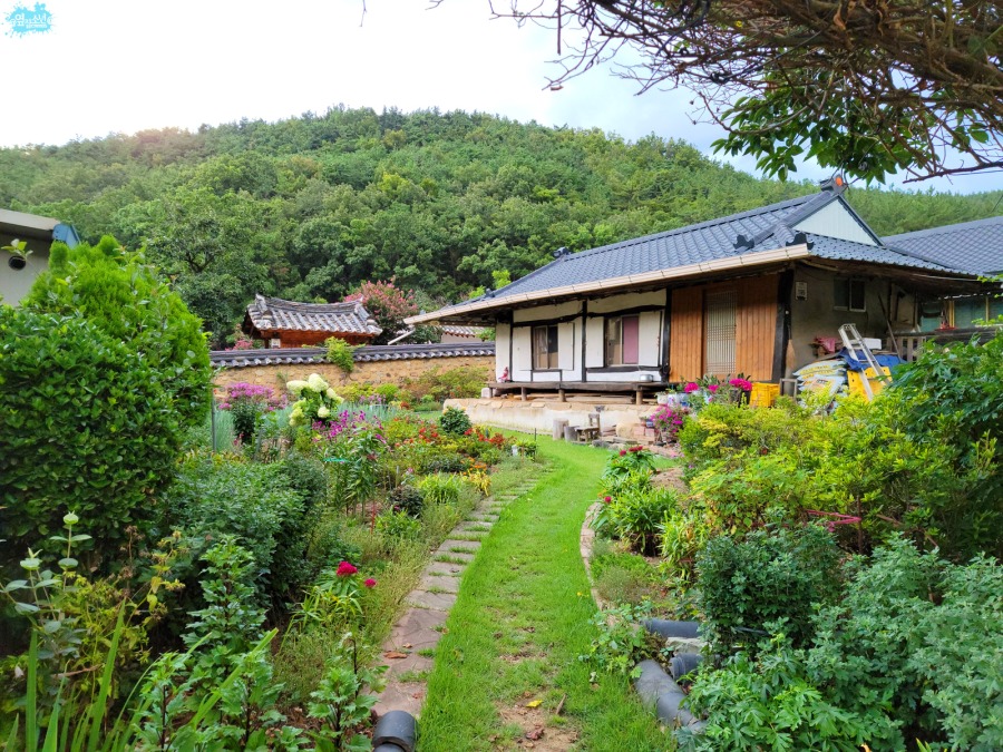 산책하기 좋은 대구 숨겨진 명소_6.jpg