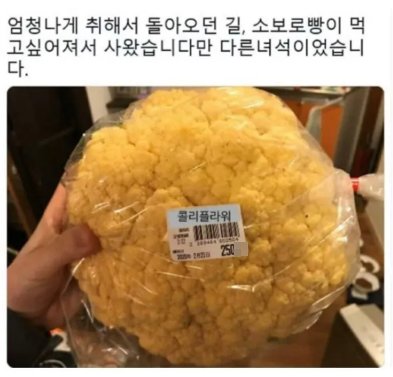 술먹은 유게이들이 조심해야하는것_1.webp