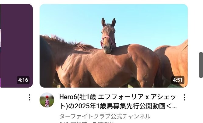 근육 질 말_1.jpg