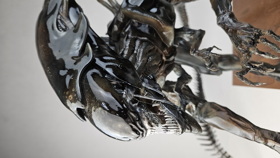 에이리언 퀸 [엠프레스]_9.jpg