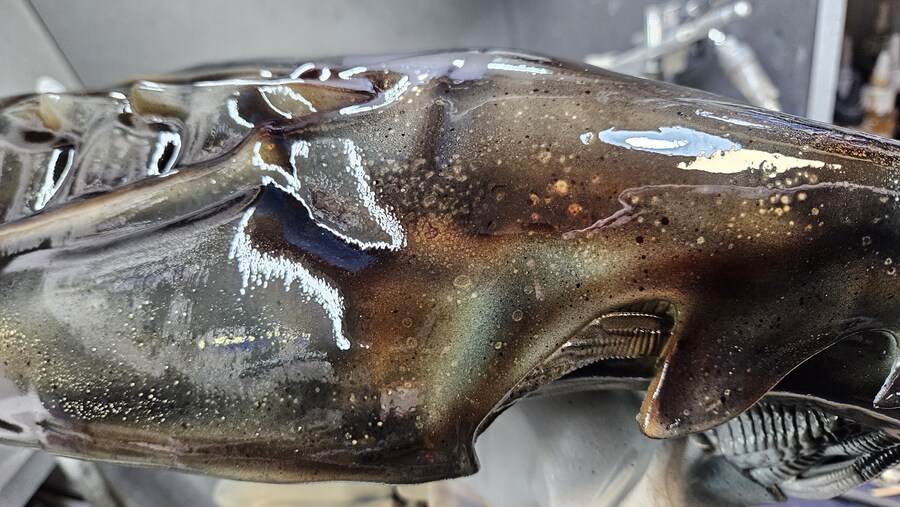 에이리언 퀸 [엠프레스]_19.jpg