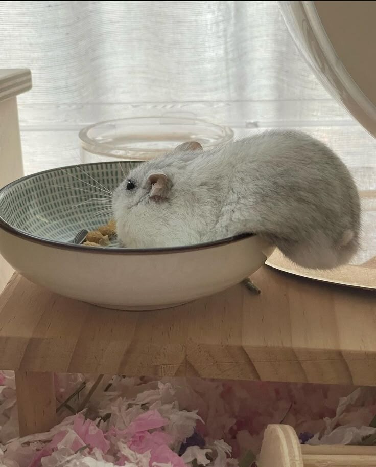 우응... 흘러내려버렷_1.jpg